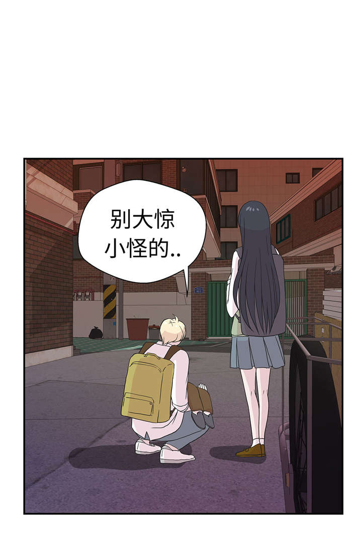 《奇妙的动物高中》漫画最新章节第52章： 被杀之前免费下拉式在线观看章节第【32】张图片