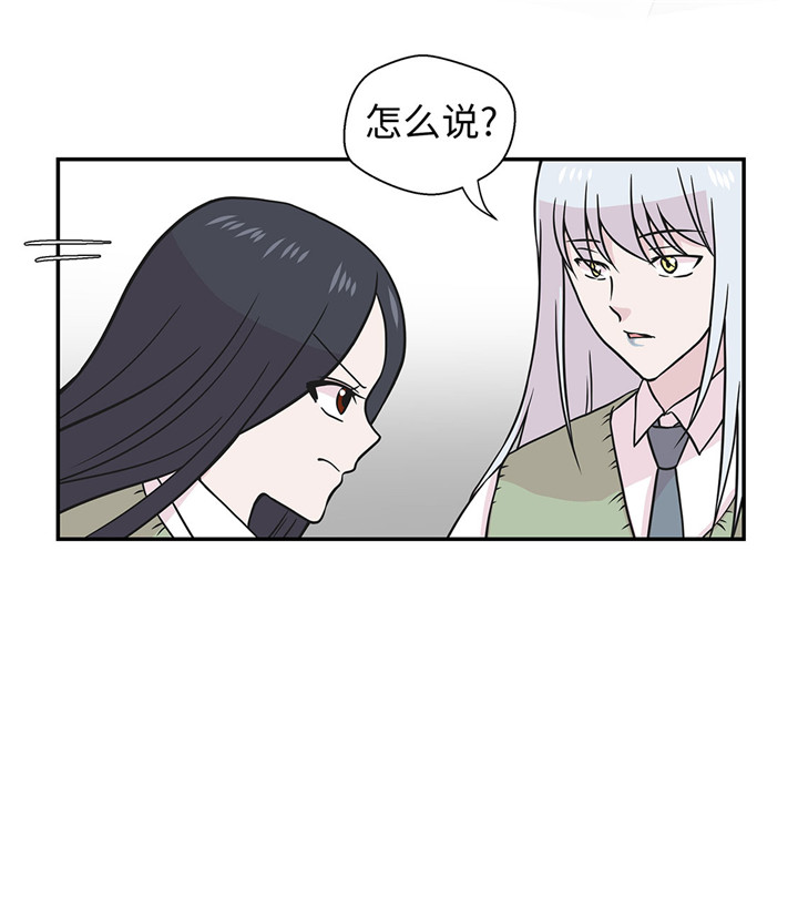 《奇妙的动物高中》漫画最新章节第58章：地下还有东西免费下拉式在线观看章节第【4】张图片