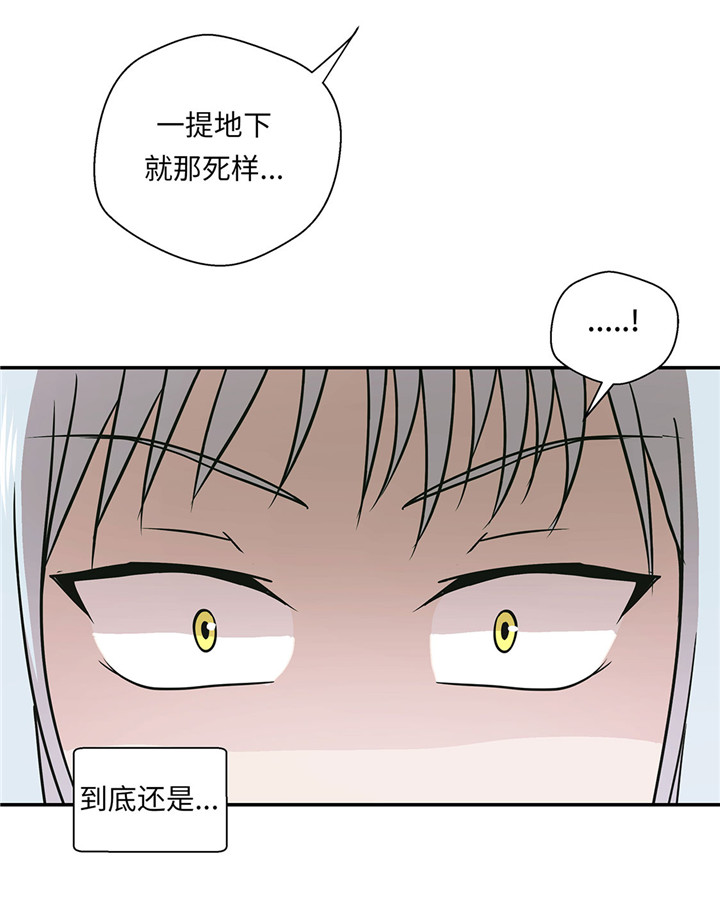 《奇妙的动物高中》漫画最新章节第58章：地下还有东西免费下拉式在线观看章节第【2】张图片