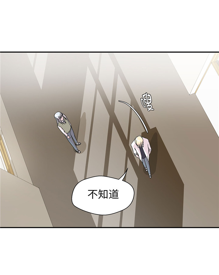 《奇妙的动物高中》漫画最新章节第60章：低级别免费下拉式在线观看章节第【4】张图片