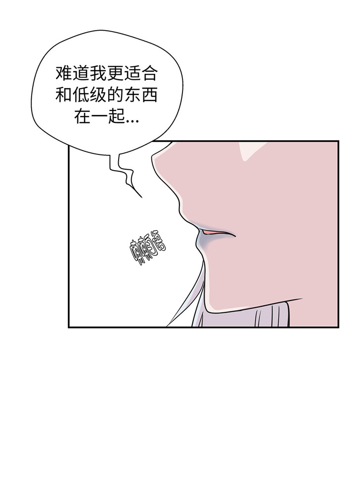 《奇妙的动物高中》漫画最新章节第60章：低级别免费下拉式在线观看章节第【1】张图片