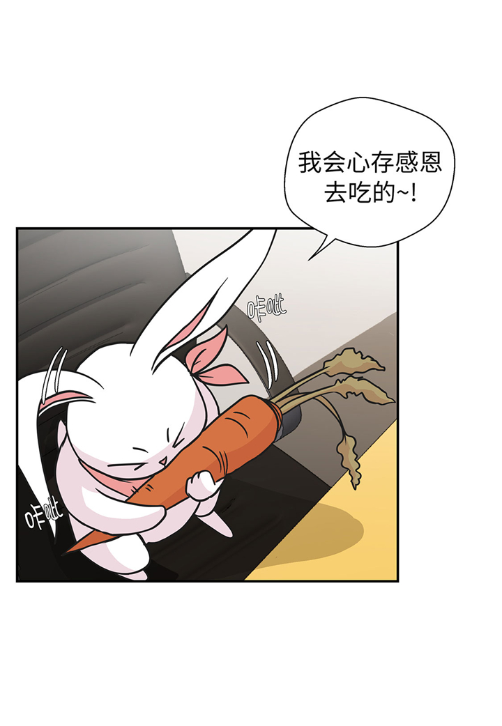 《奇妙的动物高中》漫画最新章节第61章：大萝卜免费下拉式在线观看章节第【25】张图片