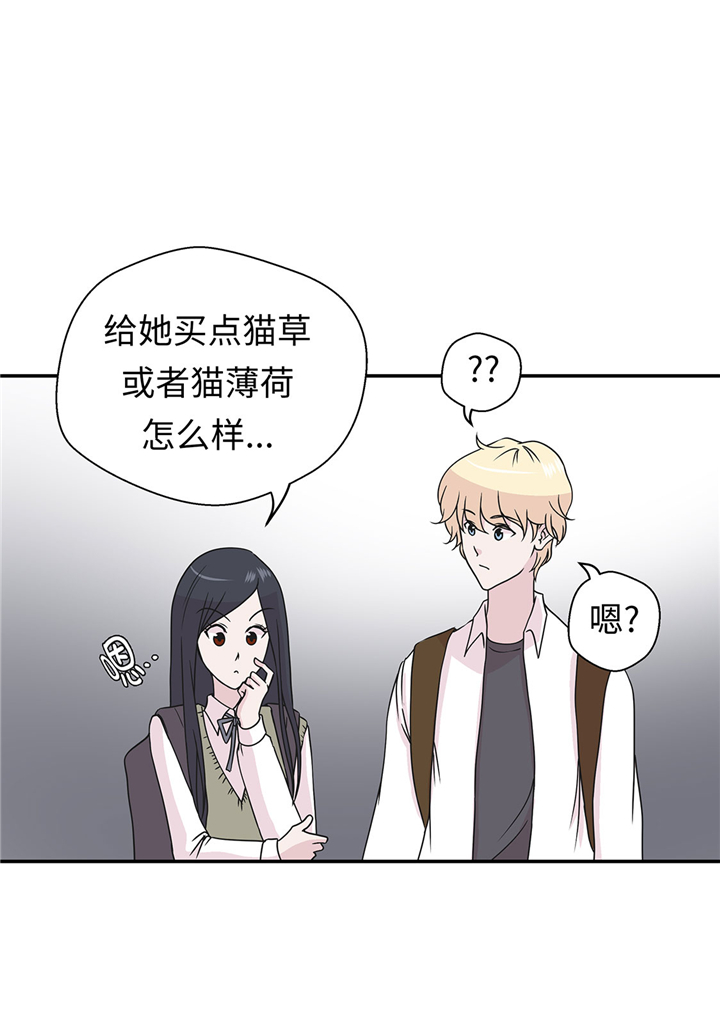 《奇妙的动物高中》漫画最新章节第63章：更进一步免费下拉式在线观看章节第【19】张图片