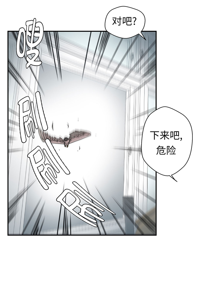 《奇妙的动物高中》漫画最新章节第66章：快下来免费下拉式在线观看章节第【4】张图片