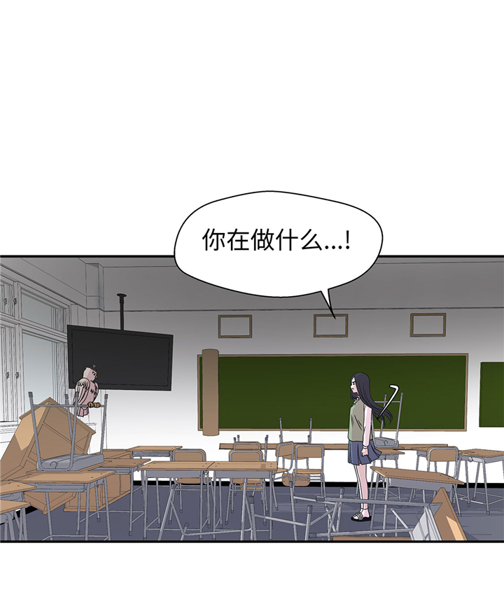 《奇妙的动物高中》漫画最新章节第67章：摔倒免费下拉式在线观看章节第【13】张图片