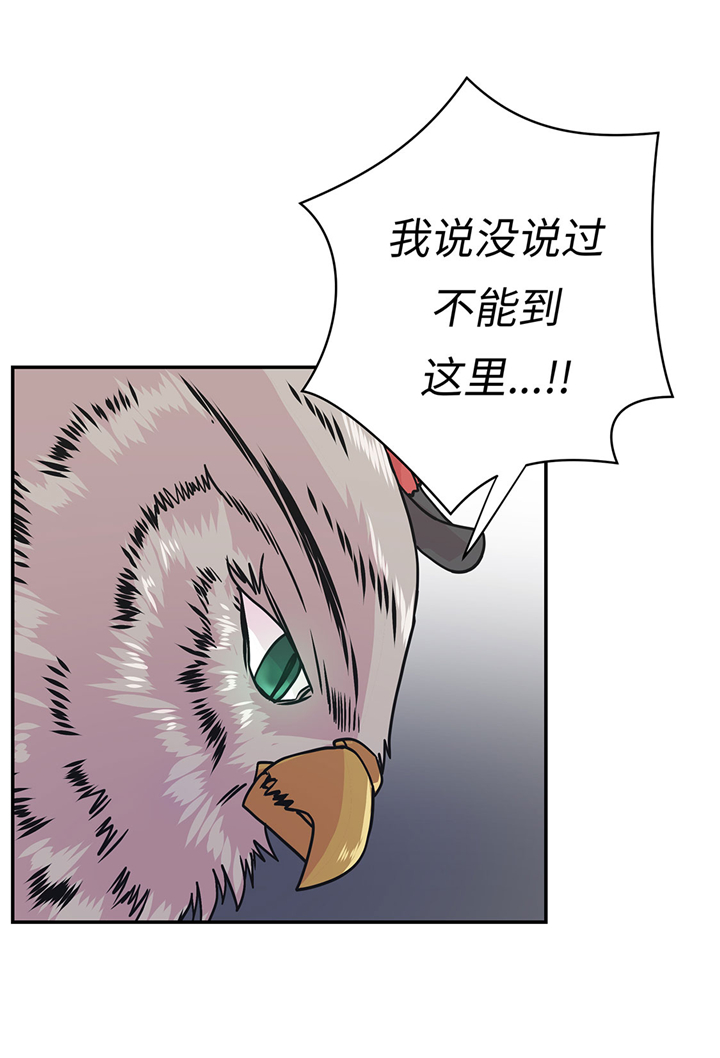 《奇妙的动物高中》漫画最新章节第67章：摔倒免费下拉式在线观看章节第【12】张图片