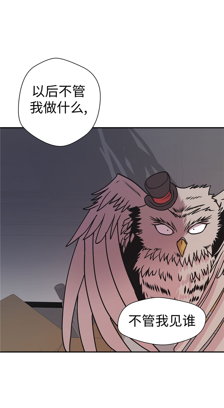 《奇妙的动物高中》漫画最新章节第67章：摔倒免费下拉式在线观看章节第【4】张图片