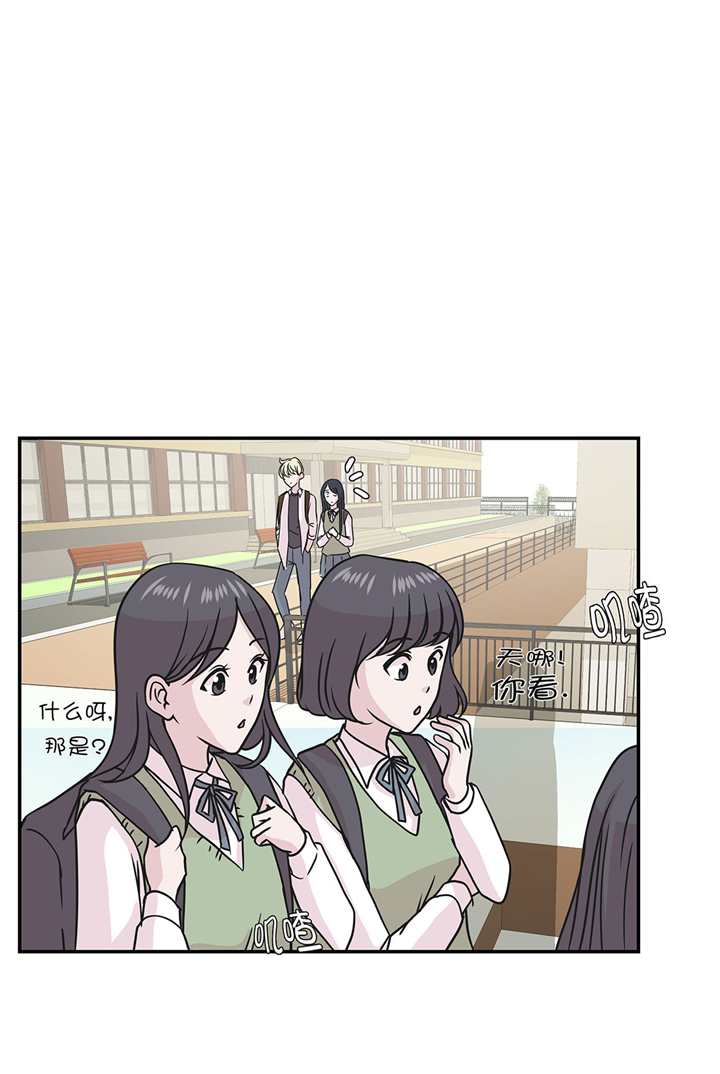 《奇妙的动物高中》漫画最新章节第68章：不知道是否有用1免费下拉式在线观看章节第【16】张图片