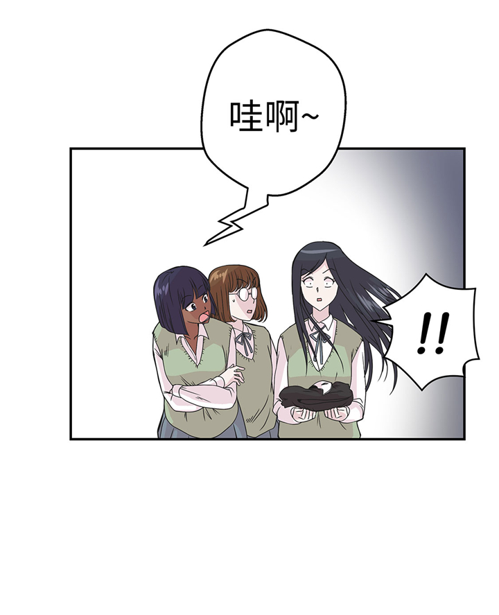 《奇妙的动物高中》漫画最新章节第74章：真是搞笑免费下拉式在线观看章节第【20】张图片