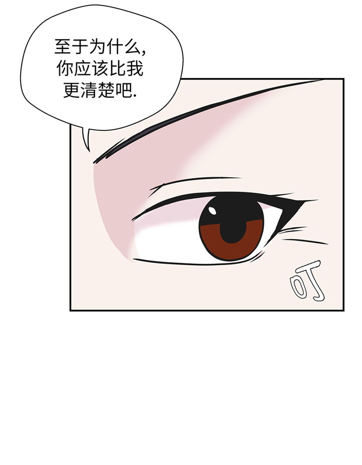 《奇妙的动物高中》漫画最新章节第77章：庆典前夕免费下拉式在线观看章节第【35】张图片