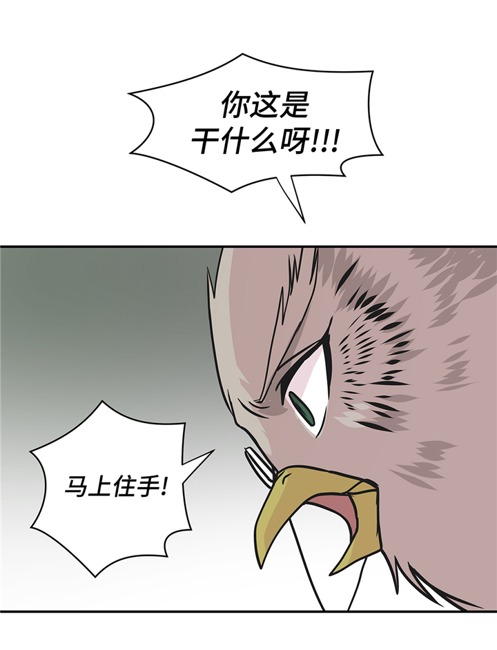 《奇妙的动物高中》漫画最新章节第81章：会场袭击免费下拉式在线观看章节第【20】张图片