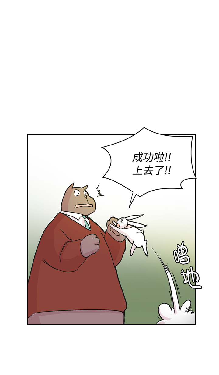 《奇妙的动物高中》漫画最新章节第90章：你这只笨狗！免费下拉式在线观看章节第【12】张图片