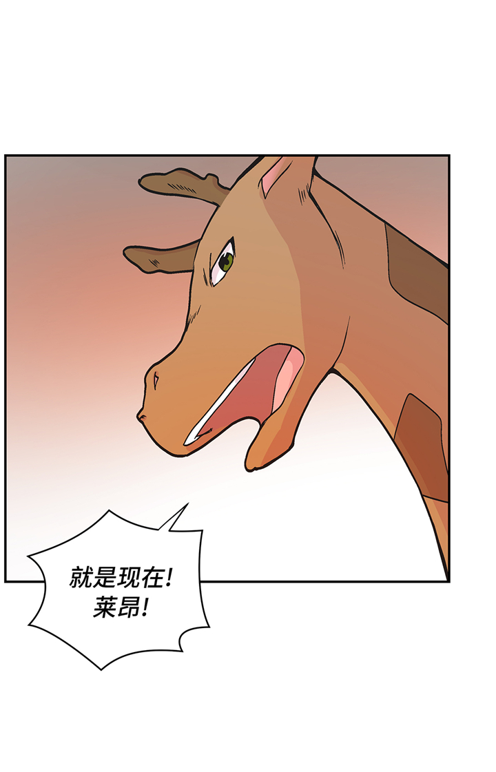 《奇妙的动物高中》漫画最新章节第90章：你这只笨狗！免费下拉式在线观看章节第【21】张图片