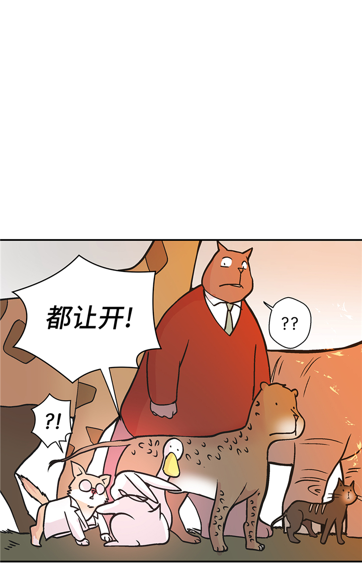 《奇妙的动物高中》漫画最新章节第90章：你这只笨狗！免费下拉式在线观看章节第【26】张图片