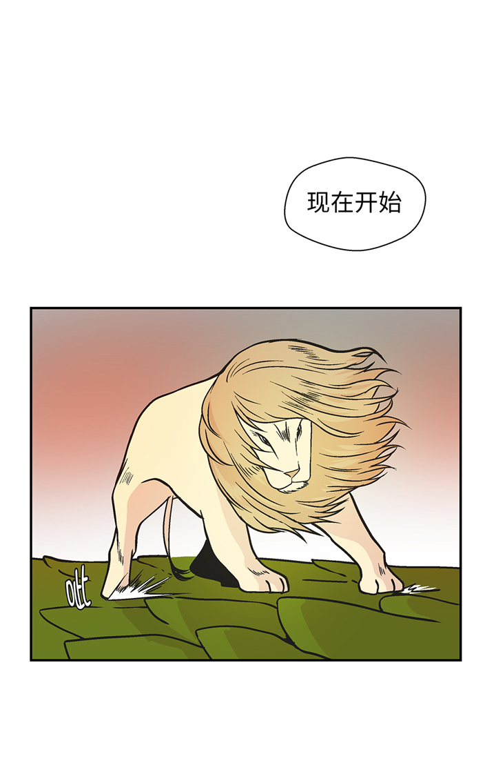 《奇妙的动物高中》漫画最新章节第90章：你这只笨狗！免费下拉式在线观看章节第【10】张图片