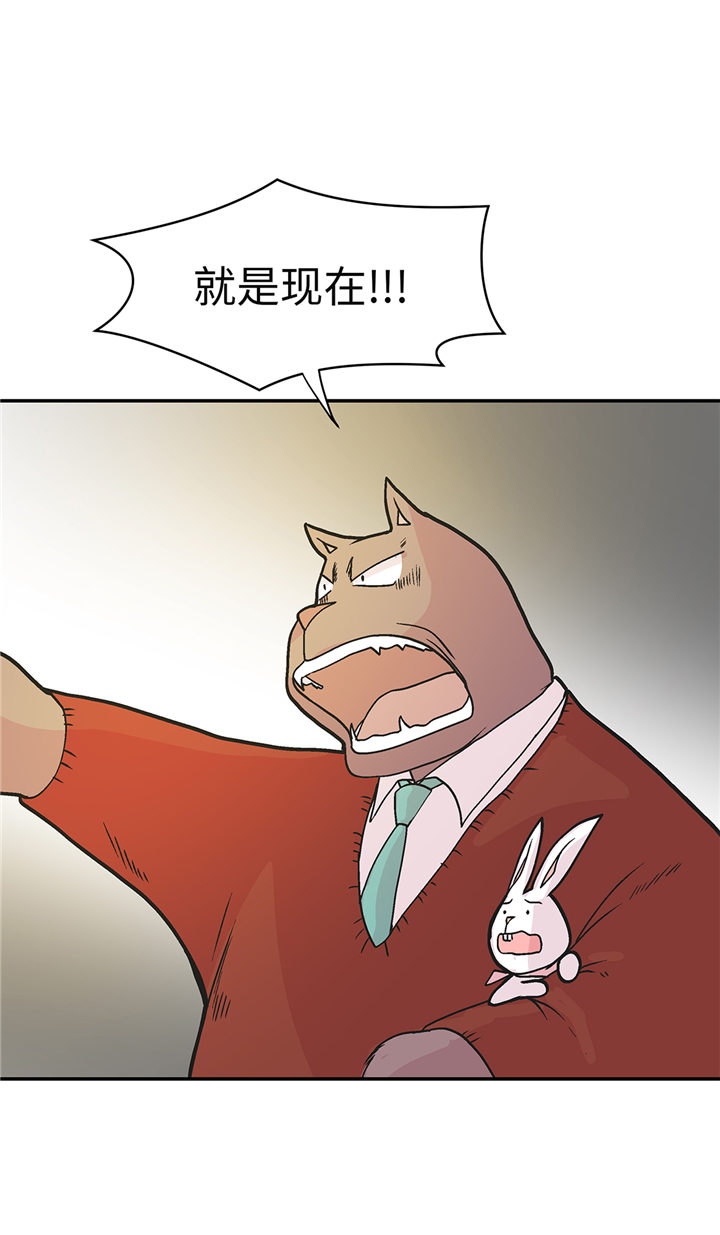 《奇妙的动物高中》漫画最新章节第91章：不要放弃，如意！免费下拉式在线观看章节第【38】张图片