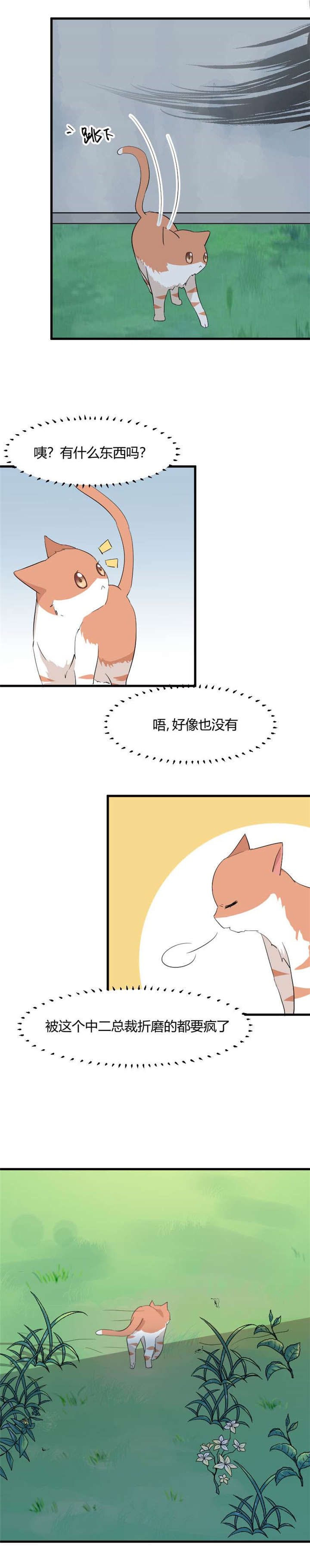 《救命，我的男票是妖怪》漫画最新章节第1章：偶遇中二总裁免费下拉式在线观看章节第【1】张图片