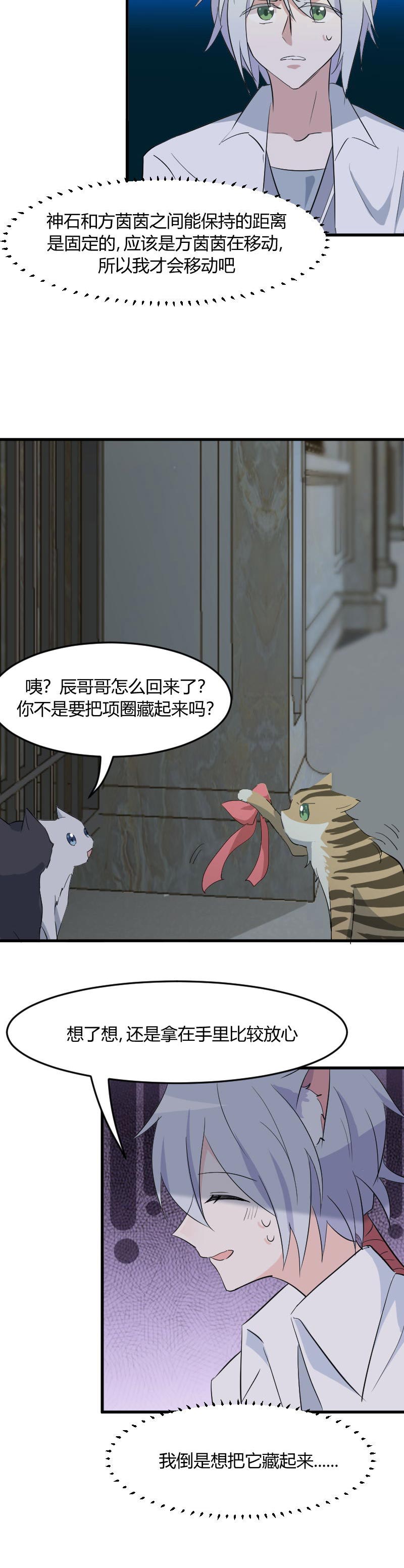 《救命，我的男票是妖怪》漫画最新章节第17章：猫很活泼很健康免费下拉式在线观看章节第【1】张图片