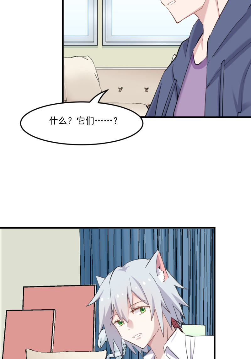 《救命，我的男票是妖怪》漫画最新章节第104章：猫身上的秘密免费下拉式在线观看章节第【10】张图片