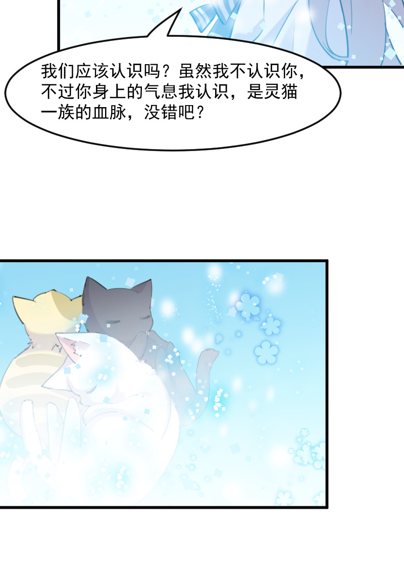 《救命，我的男票是妖怪》漫画最新章节第114章：天命难违免费下拉式在线观看章节第【11】张图片