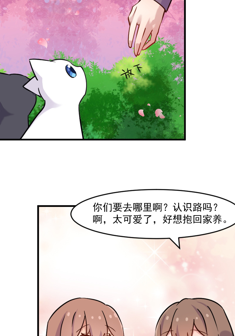 《救命，我的男票是妖怪》漫画最新章节第124章：三只小猫的冒险章免费下拉式在线观看章节第【5】张图片