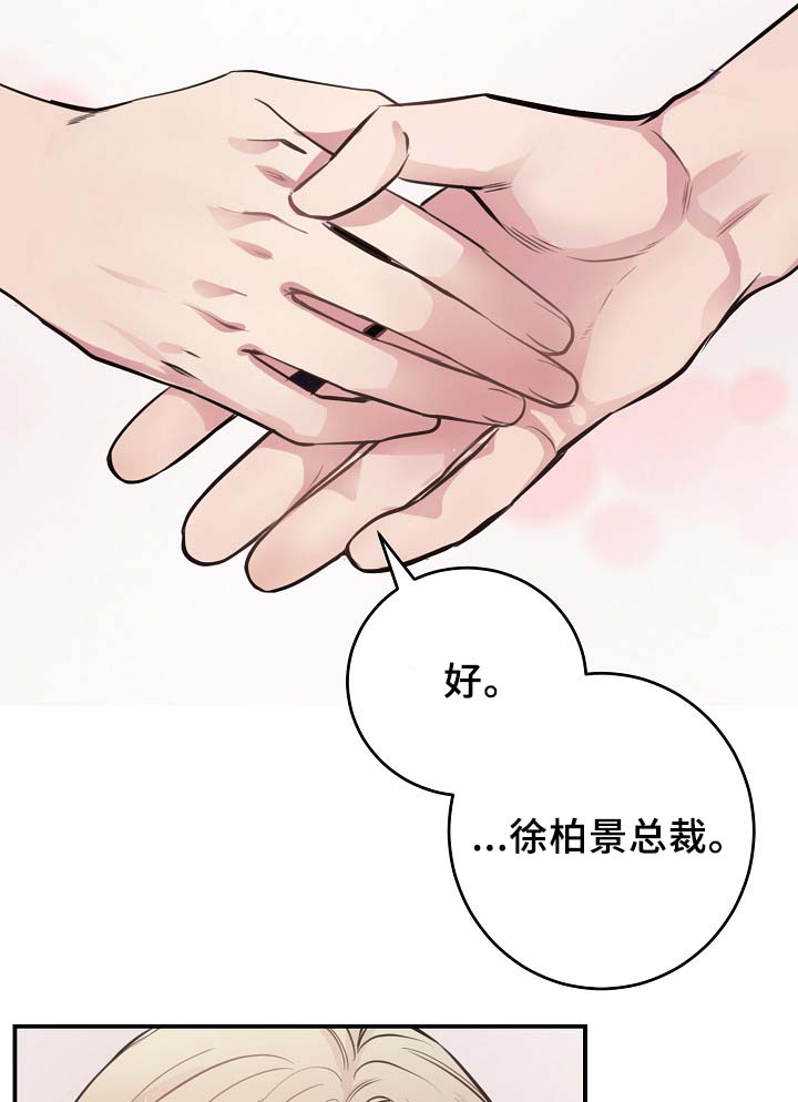 《演艺拍档》漫画最新章节第64章：最耀眼的明星免费下拉式在线观看章节第【4】张图片