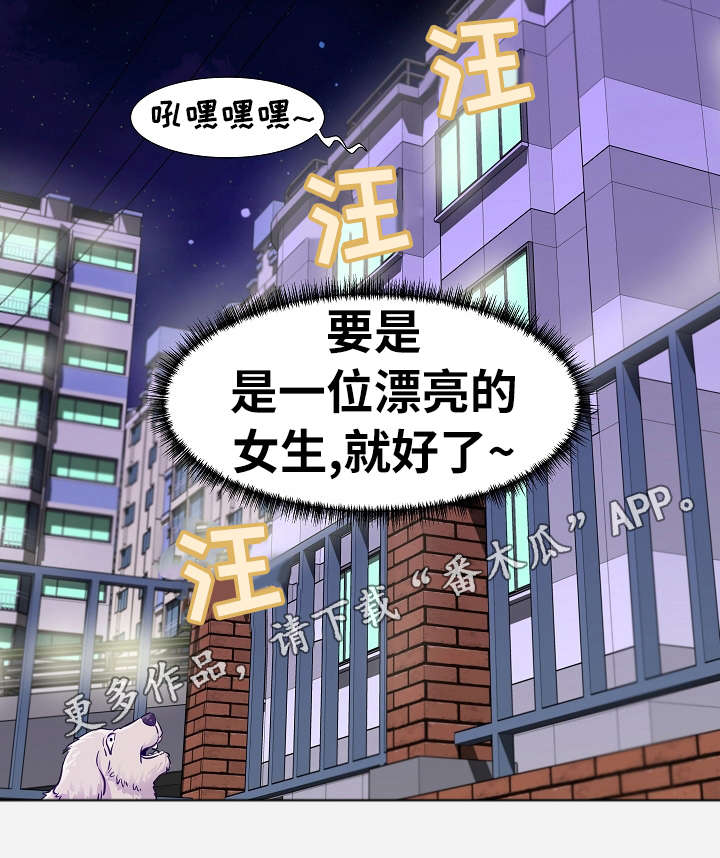 《跨越界限》漫画最新章节第20章：安排免费下拉式在线观看章节第【3】张图片