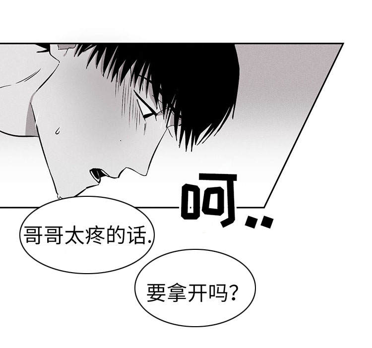 《归来重逢》漫画最新章节第11章：开始吧免费下拉式在线观看章节第【5】张图片