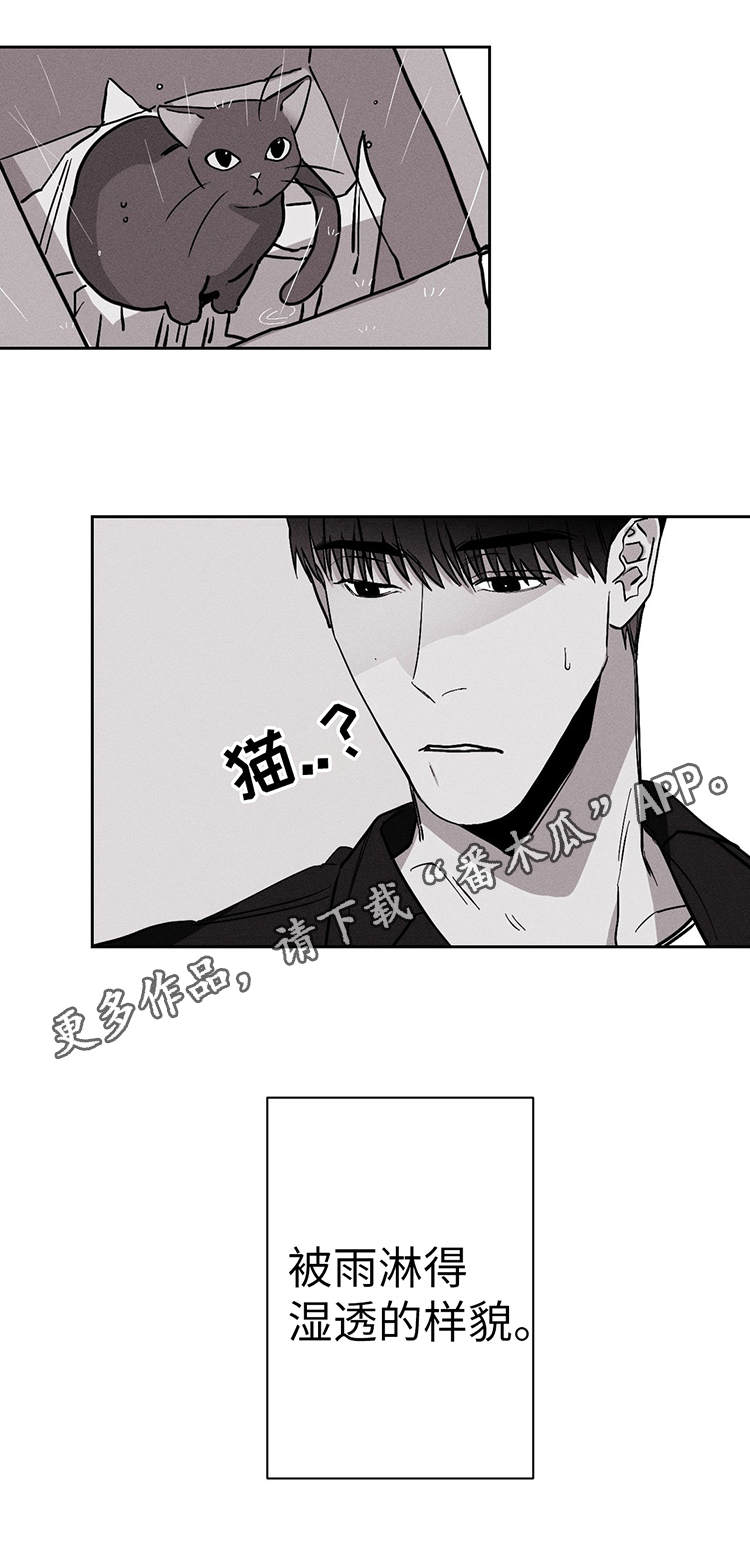 《归来重逢》漫画最新章节第19章：我不哭免费下拉式在线观看章节第【8】张图片