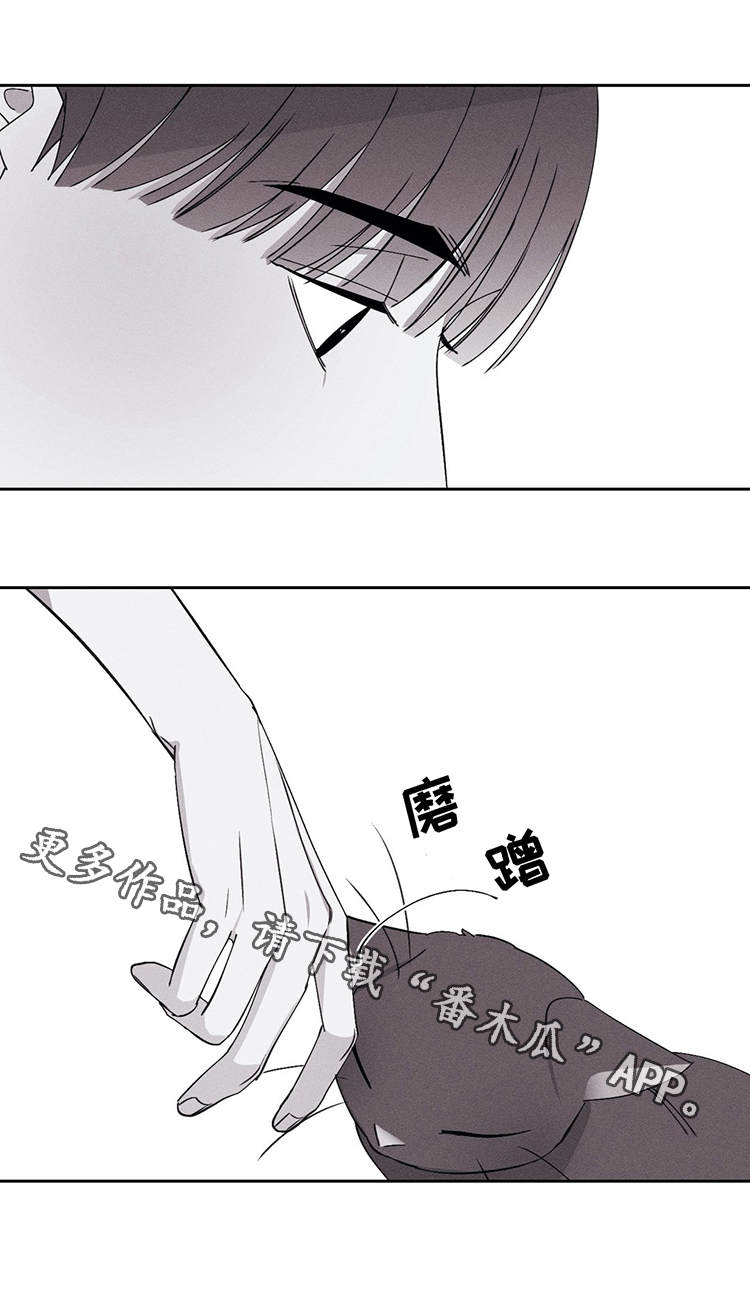 《归来重逢》漫画最新章节第21章：对不起免费下拉式在线观看章节第【3】张图片