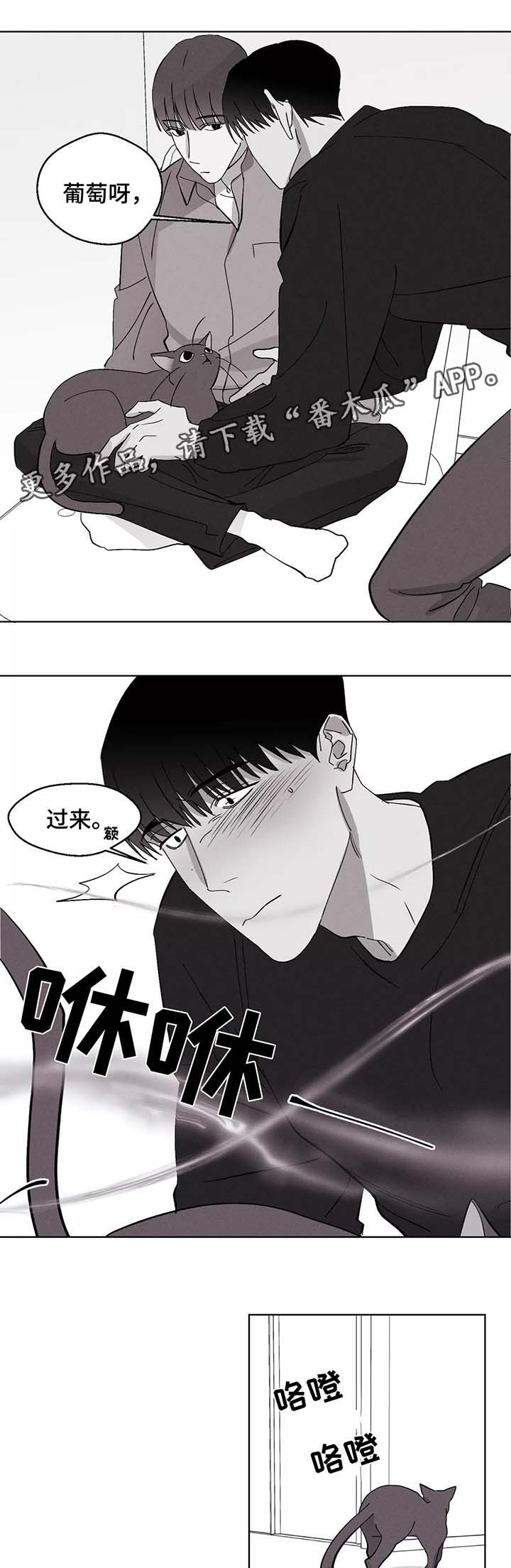 《归来重逢》漫画最新章节第38章：恋爱免费下拉式在线观看章节第【5】张图片