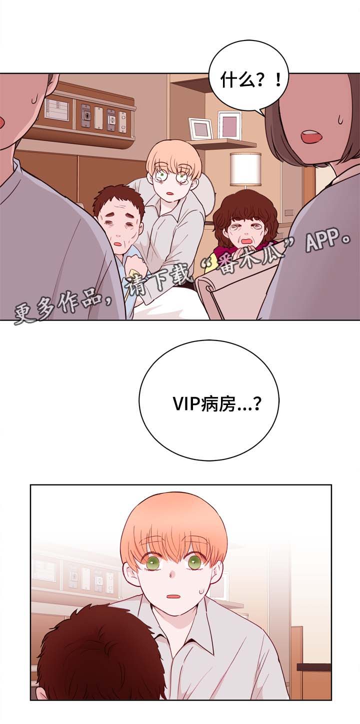 《金钱代价》漫画最新章节第29章：VIP病房免费下拉式在线观看章节第【1】张图片