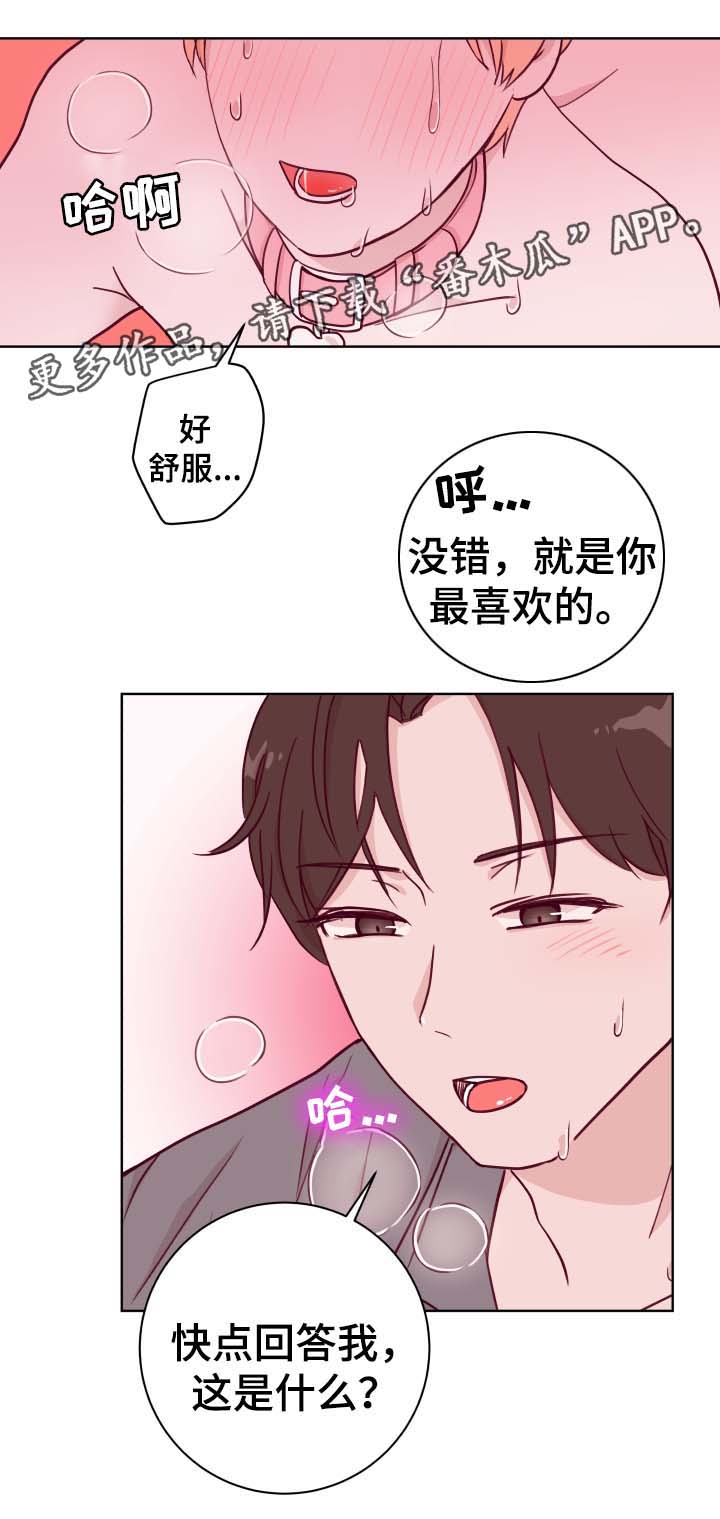 《金钱代价》漫画最新章节第49章：最喜欢免费下拉式在线观看章节第【6】张图片