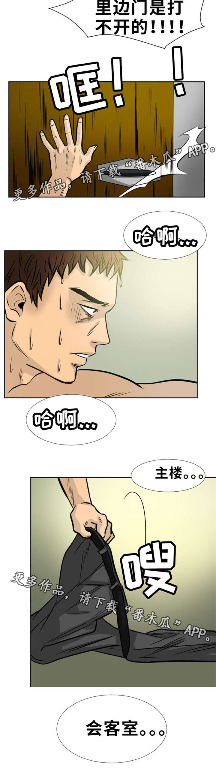 《替代者们》漫画最新章节第10章：拜访夫人免费下拉式在线观看章节第【1】张图片