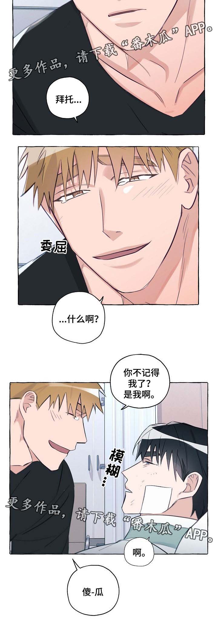 《冤家组合》漫画最新章节第37章：出院免费下拉式在线观看章节第【8】张图片