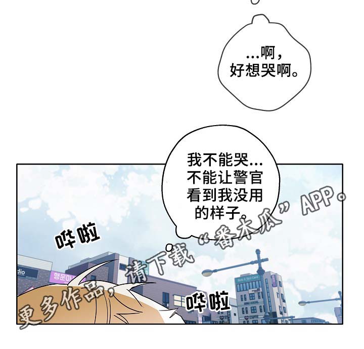 《冤家组合》漫画最新章节第47章：判决免费下拉式在线观看章节第【19】张图片