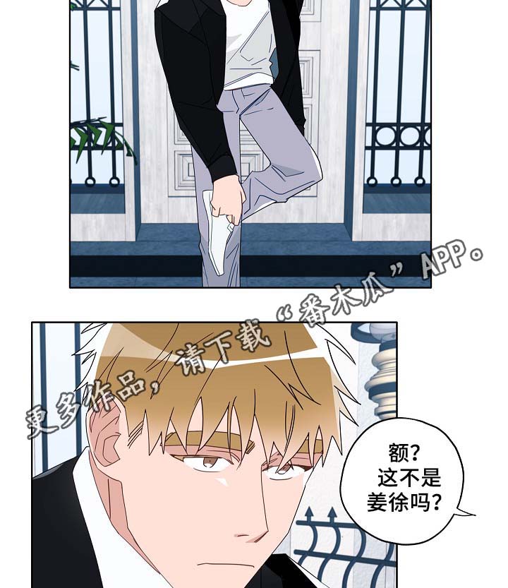 《冤家组合》漫画最新章节第52章：可怜人免费下拉式在线观看章节第【34】张图片