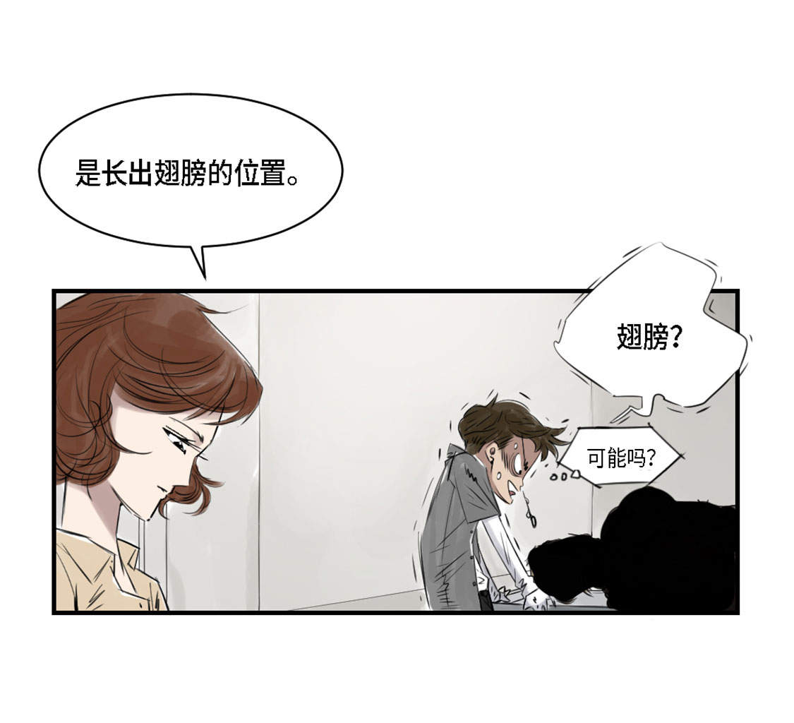 《都市兽种》漫画最新章节第2章：特别行动队免费下拉式在线观看章节第【11】张图片