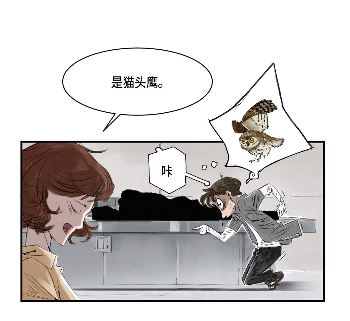 《都市兽种》漫画最新章节第2章：特别行动队免费下拉式在线观看章节第【9】张图片