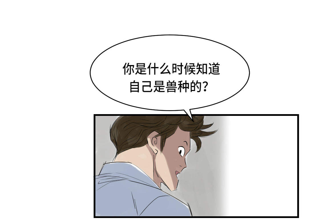 《都市兽种》漫画最新章节第5章：兽种 伴（二）免费下拉式在线观看章节第【39】张图片