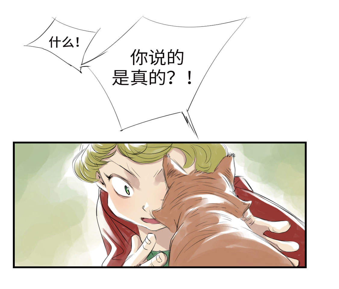 《都市兽种》漫画最新章节第6章： 阴谋的诞生免费下拉式在线观看章节第【26】张图片