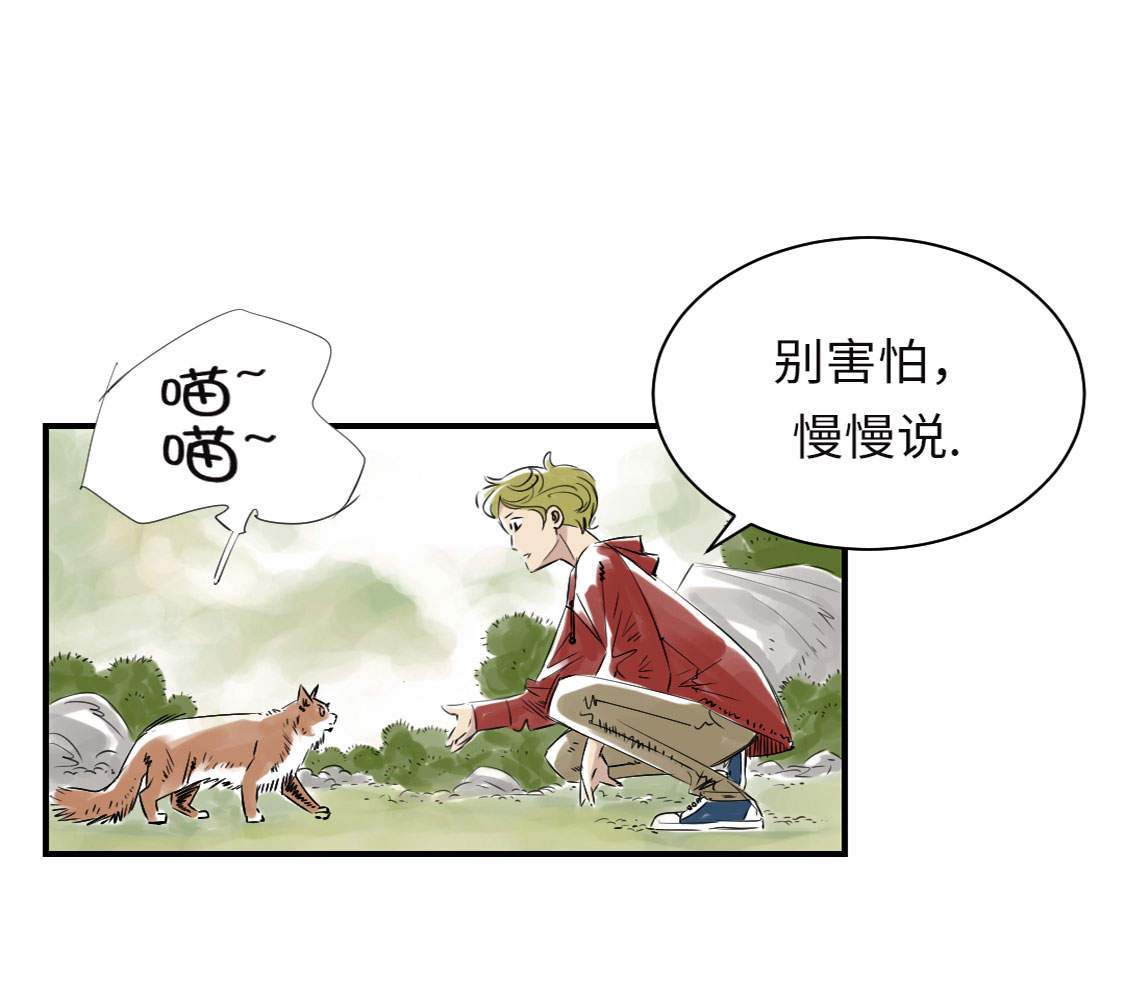 《都市兽种》漫画最新章节第6章： 阴谋的诞生免费下拉式在线观看章节第【28】张图片