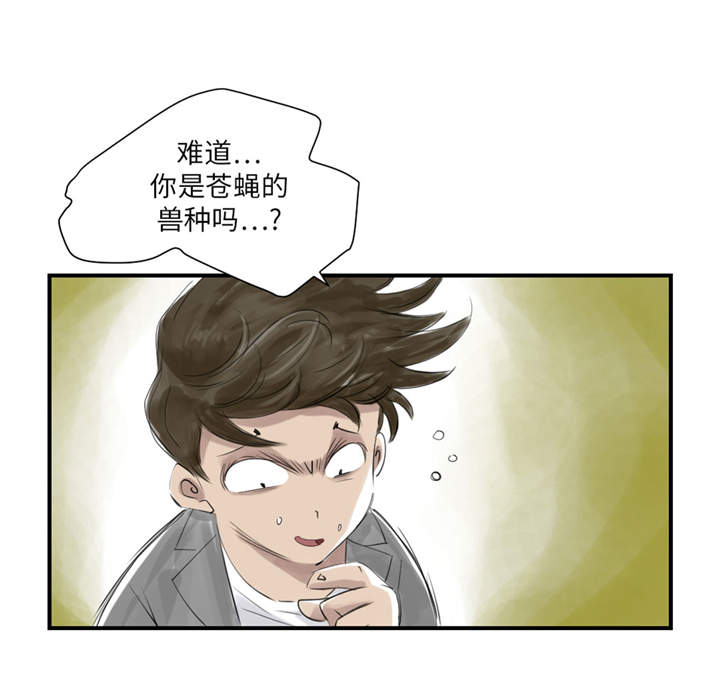 《都市兽种》漫画最新章节第22章：苍蝇兽种免费下拉式在线观看章节第【16】张图片