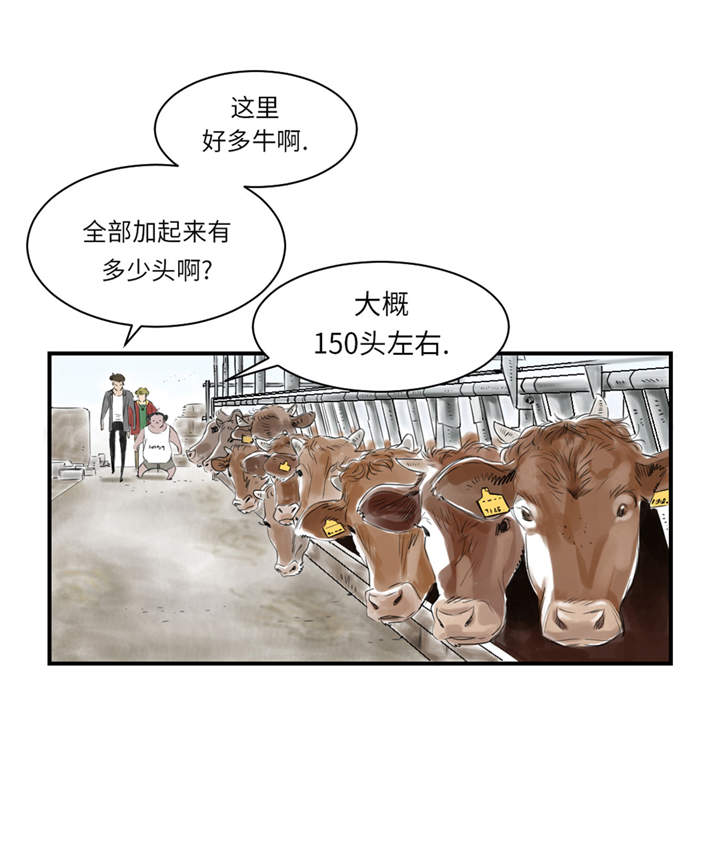 《都市兽种》漫画最新章节第22章：苍蝇兽种免费下拉式在线观看章节第【23】张图片