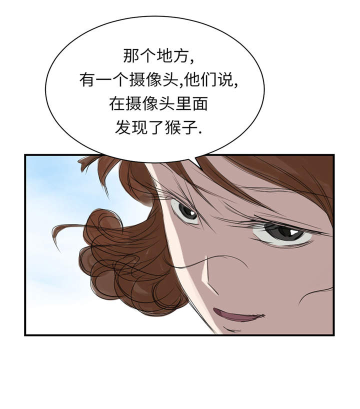 《都市兽种》漫画最新章节第23章：属于兽种的战役免费下拉式在线观看章节第【22】张图片