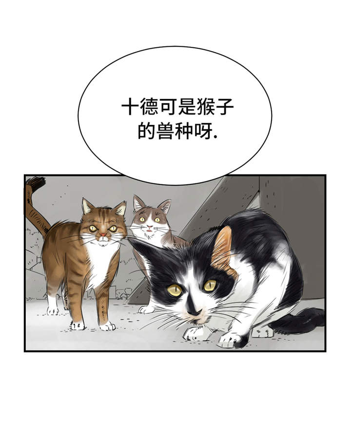 《都市兽种》漫画最新章节第23章：属于兽种的战役免费下拉式在线观看章节第【5】张图片