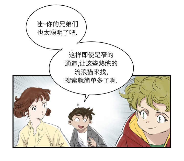 《都市兽种》漫画最新章节第23章：属于兽种的战役免费下拉式在线观看章节第【3】张图片