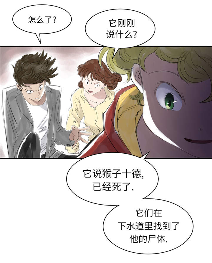 《都市兽种》漫画最新章节第24章：持续的杀人事件 免费下拉式在线观看章节第【29】张图片