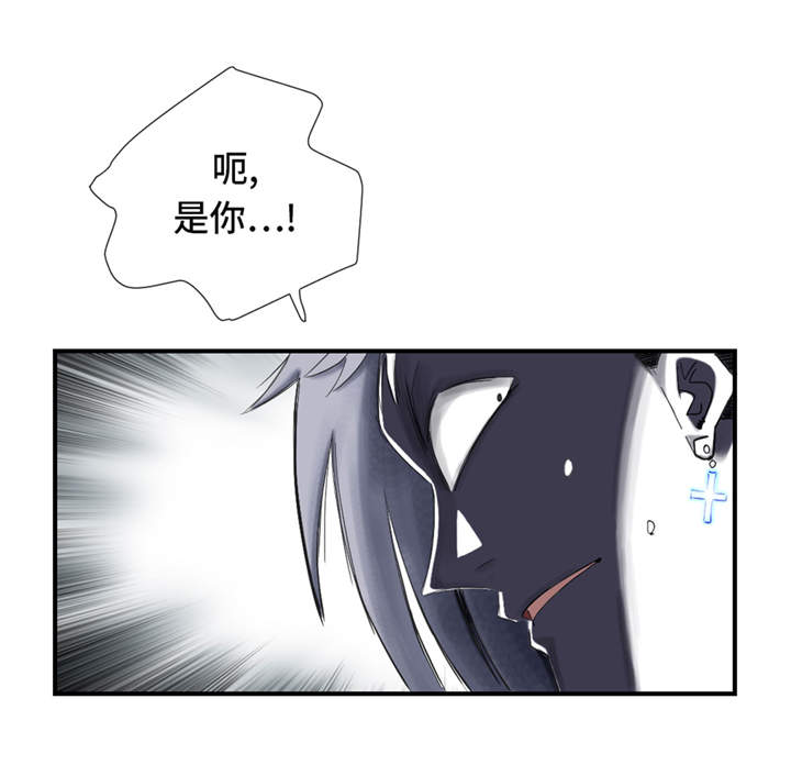 《都市兽种》漫画最新章节第33章：召唤同伴免费下拉式在线观看章节第【23】张图片