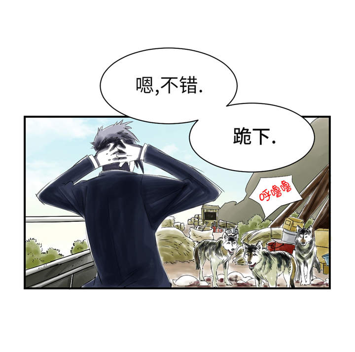 《都市兽种》漫画最新章节第33章：召唤同伴免费下拉式在线观看章节第【19】张图片